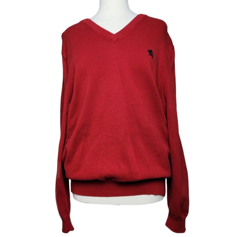 EXPRESS Sweater Pullover V Neck Red